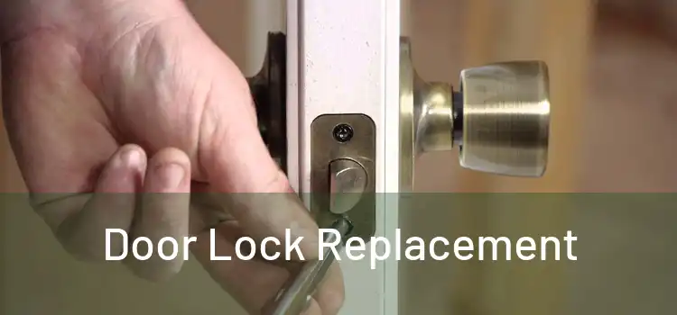  Door Lock Replacement 